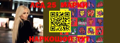 ешки Сланцы