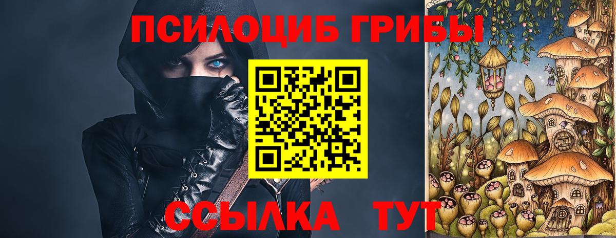 Стерлитамак  Псилоцибиновые грибы Psilocybe  Вход с VPN 